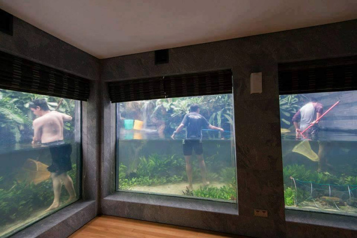 Xuất hiện trên mạng từ nguồn Floraquatic (Pinterest), những hình ảnh về căn biệt thự xây thủy cung xung quanh này được mọi người chia sẻ rộng rãi trên mạng xã hội facebook. Nhiều bình luận bày tỏ sự thích thú và xuýt xoa trước ngôi nhà tuyệt đẹp này.