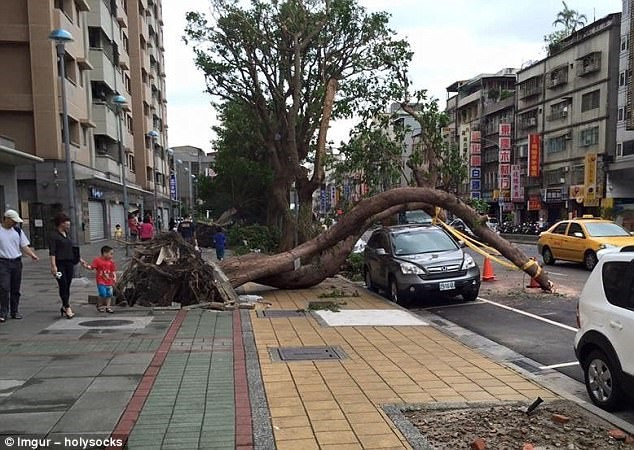 Chủ nhân chiếc xe này cần cảm tạ ngôi sao may mắn của mình.