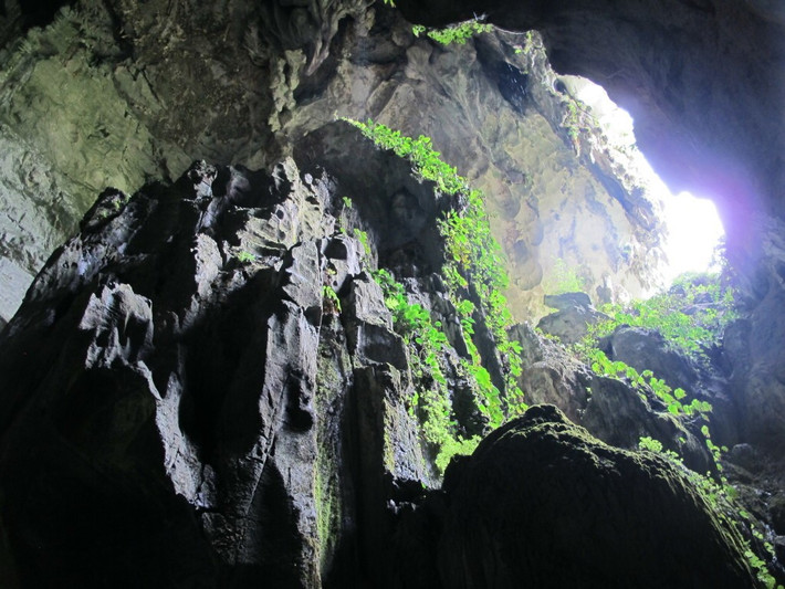 Đây là hình ảnh bên trong động Fairy, nằm ở gần khu khai thác vàng cũ ở huyện Bau, bang Sarawak, Malaysia. Ảnh: Sutra.my.