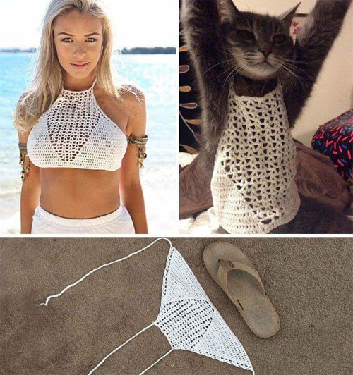 Một cô mẫu có vòng 1 gần 100cm quảng cáo bộ đồ bơi này... nhưng khi nhận được thì nó chỉ bằng chiếc dép. Và mèo là nhân vật được sở hữu món đồ gợi cảm này!
