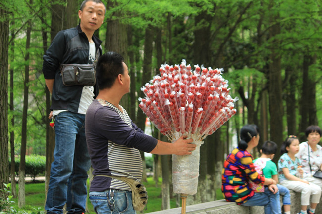 Kẹo hồ lô hương vị truyền thống – Táo bọc đường.