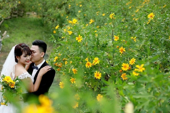 Thảo nguyên hoa Long Biên Chẳng cần phải vượt gần 50km đến Ba Vì hay cả nghìn cây số vào tận Tây Nguyên, các bạn trẻ Thủ đô hoàn toàn có thể được đắm mình trong sắc dã quỳ rực rỡ tại Thảo nguyên hoa Long Biên. Khu vườn hoa này nằm ở cuối đường Thạch Cầu (từ trung tâm Hà Nội đi qua cầu Chương Dương, rẽ phải theo đường đê Long Biên theo hướng Bát Tràng khoảng 1,5km).