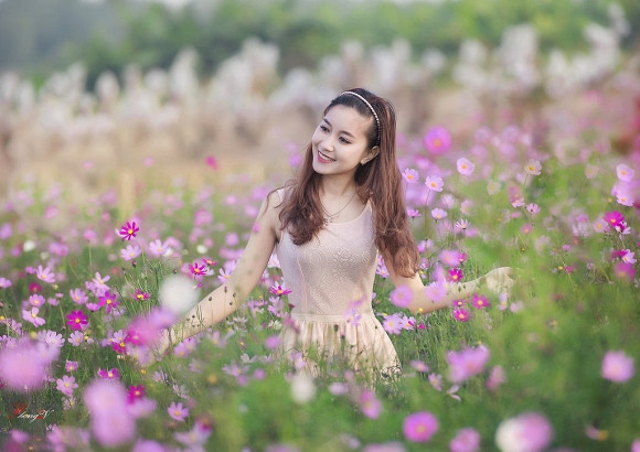 Thung lũng hoa Hồ TâyThung lũng hoa Hồ Tây là địa điểm chụp ảnh được người Hà Nội vô cùng ưa chuộng trong thời gian gần đây.
