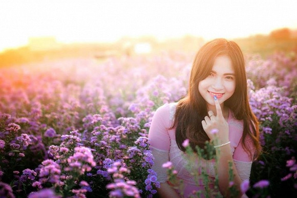 Ngoài hoa dã quỳ, bạn có thể chụp được những bức ảnh đẹp với các loài hoa khác.