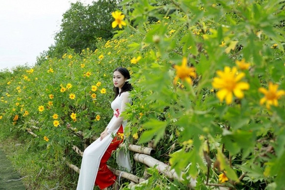 Những ngày qua, khi biết tại Thảo nguyên hoa Long Biên có dã quỳ, rất nhiều bạn trẻ đã tìm đến đây để ngắm hoa và chụp ảnh. Màu vàng của hoa nổi bật trên màu xanh của lá dã quỳ là “phông nền” lý tưởng để có những tấm ảnh tươi vui, lãng mạn. Ngoài ra, khi đến với địa điểm chụp ảnh hoa này bạn còn được ngắm nhiều loài hoa khác nhau đang khoe sắc.
