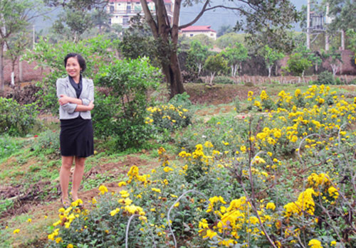 Mỹ Linh rất thích cuộc sống chậm, bình lặng ở nơi đây. Những khóm hoa rực rỡ trước cửa nhà được tự tay chị chăm sóc giờ cây nào cây nấy đều nở rộ rực rỡ một phần cũng nhờ phân xanh tự chế.