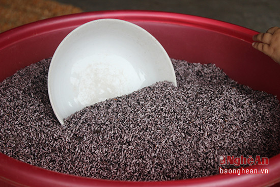 Nếp cẩm được lấy từ huyện Kỳ Sơn và bày bán dọc đường qua Tiến Thành, Chi Khê (Con Cuông) với giá 30 nghìn đồng/ kg.