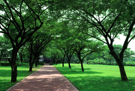Lối vào của trường RMIT tràn ngập cây xanh, tạo cảm giác thoải mái và dễ chịu.
