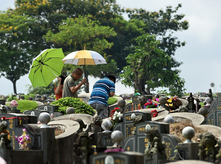 Nhiều nước châu Á chịu ảnh hưởng văn hóa Trung Hoa hoặc có cộng đồng người Hoa lớn như Việt Nam, Singapore, Malaysia... cũng có Tết Thanh Minh. Trong ảnh, một gia đình gốc Hoa ở Singapore viếng mộ người thân hôm 4/4.