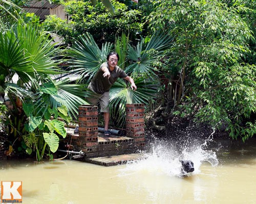 Hàng ngày, anh cũng dành chút thời gian huấn luyện những chú chó trong nhà.