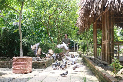 3. Danh hài Giang Còi Diễn viên hài Giang Còi nổi tiếng với những vai diễn anh nông dân gây cười trên Gặp nhau cuối tuần. Ngoài đời, anh cũng giản dị như vậy khi ngày ngày vẫn thả cá, nuôi gà, hái rau,..tại ngay chính căn nhà mình ở ngoại thành Hà Nội. Mảnh đất 10.000m2 mà gia đình Giang Còi đang ở được anh mua từ năm 1994 với giá 27 triệu. Thời đó, anh chưa biết làm gì nên cho người dân xung quanh mượn để trồng cây. Đến tận năm 2001, anh mới cùng gia đình quyết định về quê xây nhà sinh sống để cho con có không gian rộng rãi mà đảm bảo an ninh. Nhiều người khi đó nói anh 'dở hơi' khi đang yên đang lành bỏ phố về quê. Thế nhưng, sau nhiều năm, cả nhà đang rất hạnh phúc với quyết định của mình.