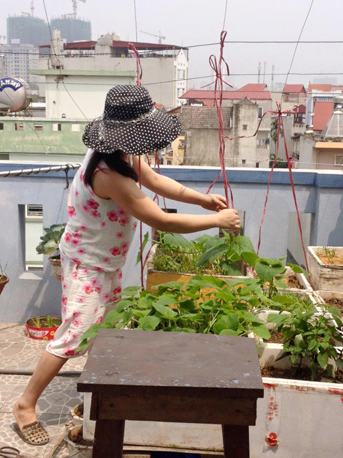 Chăm khu vườn trên cao mỗi ngày là thú vui mới của gia đình anh chị mỗi khi rảnh rỗi.