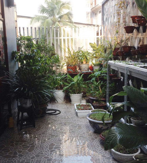 Không gian tầng 1 cũng ngập màu xanh của các loại cây, hoa quanh nhà.