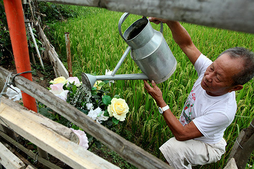 Xung quanh khu mộ, ông Thiệp dựng lên cả một khu vườn với đủ các loại cây, hoa. Hằng ngày ông cứ vừa chăm sóc khu vườn, vừa thủ thỉ với người vợ đang ở thế giới bên kia.