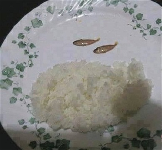 Bổ sung đạm cho cả gia đình.