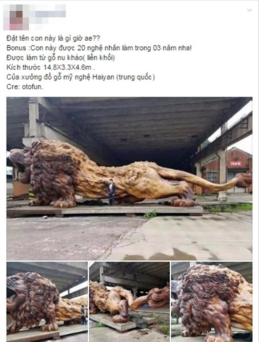 Theo tìm hiểu từ 1 cư dân mạng, đây là sản phẩm của người Trung Quốc. Nó được làm từ gỗ nu kháo (gỗ hương) với sự tham gia của 20 nghệ nhân trong vòng 3 năm. Kích thước 14,8×3,3×4,6m, thực sự là 1 tác phẩm điêu khắc khổng lồ khiến bất cứ ai cũng phải kinh ngạc ngay từ cái nhìn đầu tiên. Bên cạnh đó, nhiều người còn tìm được thông tin đây chính là con sư tử đang được đặt tại quảng trường Fortune Plaza ở Vũ Hán, Trung Quốc.