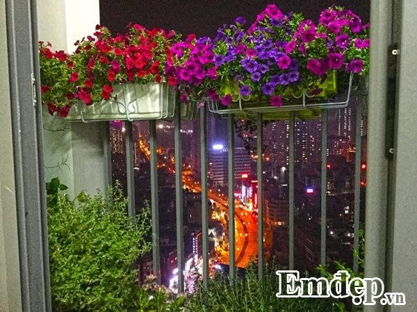 Ban công hoa rực rỡ về đêm.