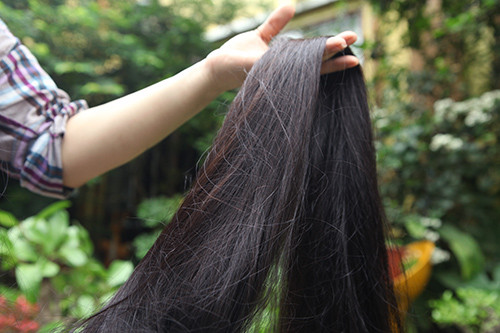 Kể về bí quyết chăm sóc mái tóc, chị cho biết, thực sự chẳng có bí quyết gì. Gội bằng nước lã với các loại lá như lá chanh, lá bưởi, sả… nếu bận không có lá tôi dùng ít dầu gội.