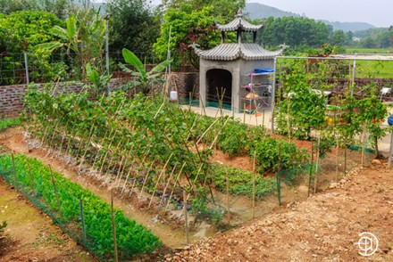 "Những lúc không chạy show, cả gia đình lại tập trung trồng trọt, chăm sóc cây cối, sống cuộc sống y như những người nông dân thực thụ"- vợ nam ca sĩ Việt Hoàn chia sẻ.