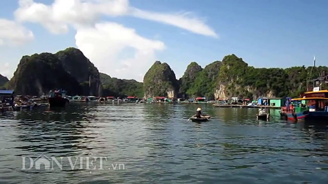 Làng chài Cái Bèo xưa còn gọi là làng chài Vụng O, được xếp hạng di tích lịch sử cấp quốc gia năm 2009. Di chỉ Cái Bèo được xác định toạ độ 20o43'8'' vĩ Bắc và 107o3'2'' kinh Đông (cách trung tâm thị trấn huyện 1,5km) với độ cao trung bình 4m so với mặt nước biển.