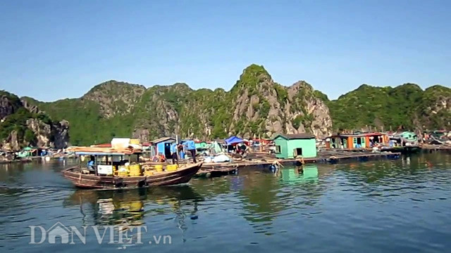 Hòa cùng tiếng mái chèo khua nước, là giọng nói ngọt ngào của người lái đò giới thiệu những nét đặc sắc của làng chài. Khu di chỉ rộng khoảng 800m2, là thung lũng bằng phẳng, ba mặt núi đá vôi bao bọc, còn mặt Đông quay ra biển. Đi qua khu di chỉ chừng 200m, là hai dãy núi Áng Thảm và Bù Nâu chạy vòng cung ôm lấy Cái Bèo.