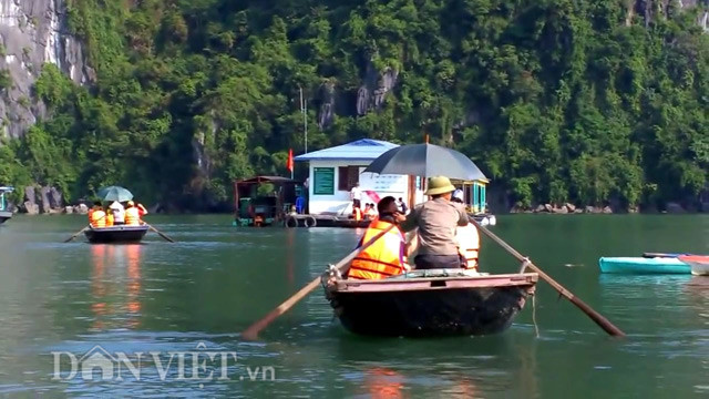 Nhờ núi bao bọc nên làng chài Cái Bèo luôn kín gió, biển lặng quanh năm, nên việc sinh sống và khai thác thủy sản rất thuận lợi. Các thế hệ dân chài ở đây xem thuyền là nhà, biển là quê hương, gắn bó với Cái Bèo cả về tâm hồn lẫn thể xác, quanh năm làm bạn với biển khơi và thân thiện với du khách gần xa.