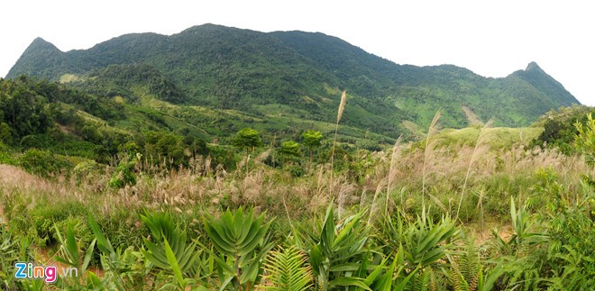 Tỉnh Quảng Ngãi đã duyệt quy hoạch 1.266 ha thuộc địa phận các xã Trà Tân và Trà Bùi, huyện vùng cao Trà Bồng để phát triển du lịch.