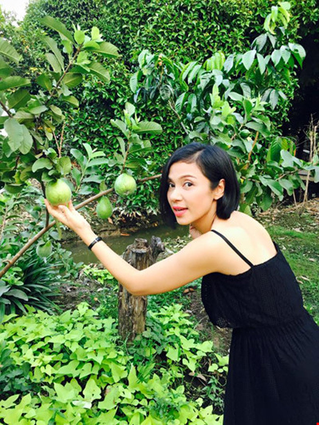 Việt Trinh cũng là mỹ nhân nổi tiếng thời đóng cặp cùng Lý Hùng. Hiện tại cô chọn cho mình không gian sống yên tĩnh ở vùng ngoại ô thuộc tỉnh Bình Dương.