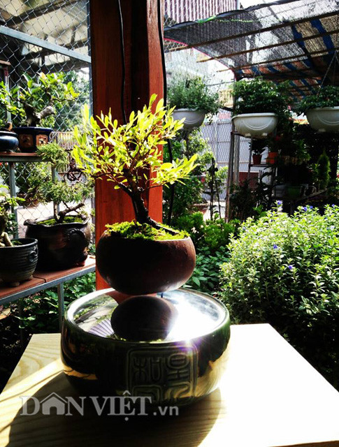 Anh Nguyễn Trọng Huy, một thành viên trong nhóm Air bonsai – nhóm đưa "cây bay" về Việt Nam cho biết: “Bonsai bay không chỉ lạ mắt mà còn tốt cho phong thủy nhà ở khi giúp lưu thông các trường năng lượng tốt, đồng thời xua bớt tà khí. Nhờ ứng dụng công nghệ mới, chúng ta không những vẫn có thể chăm sóc, cắt tỉa cây như truyền thống mà còn chiêm ngưỡng cây bonsai lơ lửng trong trạng thái không trọng lực”. Một bộ siêu phẩm bonsai bay này gồm có hai bộ phận: đế và chậu cây phía trên. Đế làm bằng gốm sứ Bát Tràng, bên trong có tích hợp thiết bị đệm từ. Phần chậu cây phía trên có gắn nam châm với cực ngược với cực nam châm của đế dùng để trồng cây.