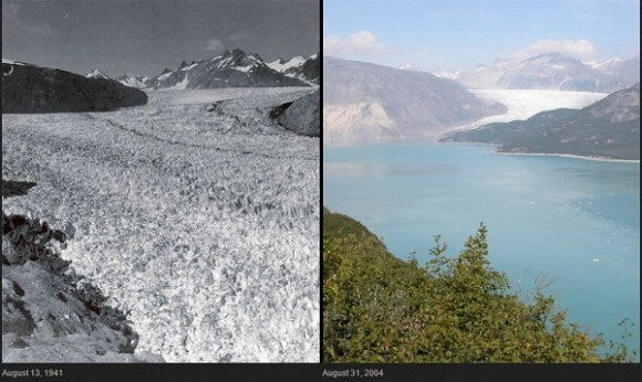 Sông băng Muir tan chảy ở Alaska Trái: Bức ảnh chụp năm 1941 bởi Ulysses William O. Field; Phải: Bức ảnh năm 2004 chụp bởi Bruce F. Molnia