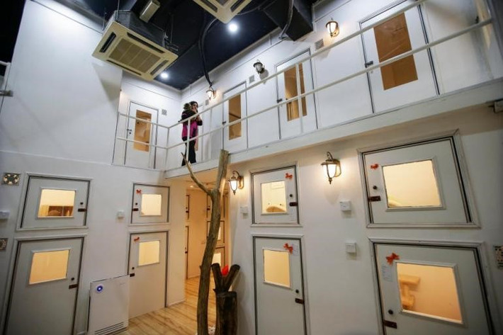 Khách sạn có 35 phòng ngủ, spa, phòng ngủ VIP và thậm chí cả dịch vụ hẹn hò cho mèo. Khách sạn này có 4 loại phòng, trong đó đắt nhất là phòng siêu VIP (VVIC) có giá 38 USD/đêm. Phòng có diện tích hơn 3 m2 gồm sân chơi riêng, điều hòa nhiệt độ và giường cỡ lớn cho mèo.