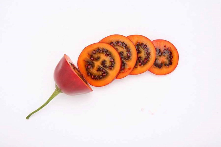 Thịt quả cà chua thân gỗ rất săn chắc, có nhiều hạt lớn hơn so với hạt cà chua thông thường. Khi ăn, cùi quả có mùi thơm ngon và vị chua ngọt. Quả có thể ăn tươi như các loại trái cây khác, dùng để làm salad, ép nước hoặc có thể biến tấu nhiều món khác nhau như làm mứt, bánh, kết hợp món nướng...