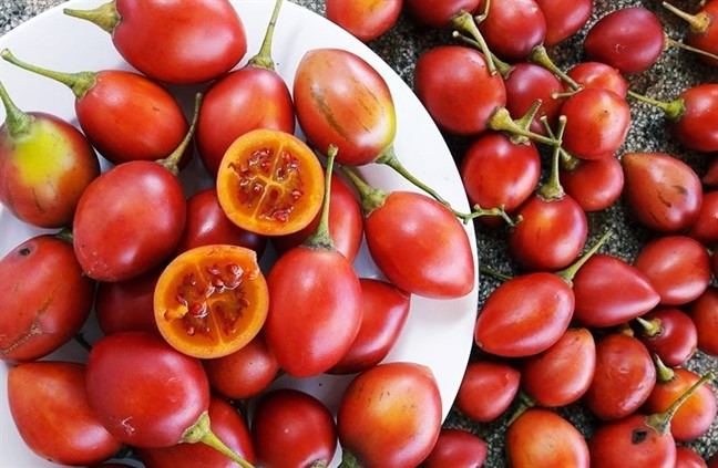 Loại cà chua đắt đỏ này được nhiều bà nội trợ Việt tìm mua và trở nên sốt khoảng 2 tháng nay. Một số cửa hàng trái cây nhập khẩu bắt đầu nhập về cung cấp ra thị trường với giá một triệu đồng/kg. Chủ cửa hàng ở đường Phan Xích Long, quận Phú Nhuận, TP.HCM cho biết có rất nhiều người tìm mua nhưng chị không dám trữ sẵn mà chỉ nhập theo đúng lượng đặt hàng. Do mỗi kg cà chua chỉ 8-10 trái bán giá 1 triệu đồng, tính ra mỗi trái hơn 100.000 đồng, chỉ cần nửa kg hàng tồn và bị hư thì đã lỗ rất nhiều tiền.