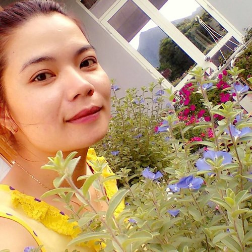 Ngôi nhà phố núi rực sắc hoa này của gia đình chị Phạm Huế (30 tuổi) ở Phù Yên - Sơn La. Ngày ngày, được ngắm “trộm” những chậu hoa của chị hàng xóm cạnh cơ quan, chị Phạm Huế đã mê mẩn vẻ đẹp của muôn sắc đua nhau nở. Và rồi, chị lân la sang làm quen với chị hàng xóm. Vì sở thích yêu hoa, trồng cây nên chị Huế đã kết thân với hàng xóm rất nhanh.