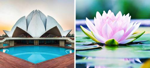 Đền Hoa sen ở New Delhi, Ấn Độ do kiến trúc sư Fariborz Sahba thiết kế dựa trên hình ảnh của những đóa sen.