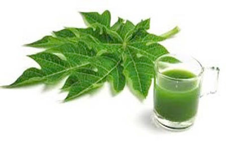 Đề cao năng lượng cơ thể. Uống nước ép lá đu đủ mỗi ngày sẽ làm tăng năng lượng cho cơ thể, đặc biệt rất tốt đối với người luôn cảm thấy mệt mỏi (mệt mỏi mãn tính).