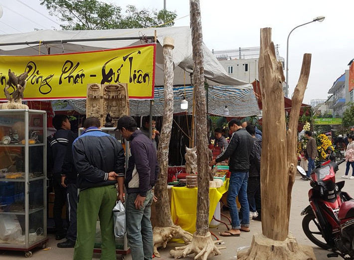 Ba cây trầm hương có chiều cao hơn 2 mét, được dựng trên một mặt gỗ làm giá đỡ. Rất nhiều khách đi chợ hoa đã tập trung để ngắm nhìn loài gỗ quý được ví ngang với vàng.