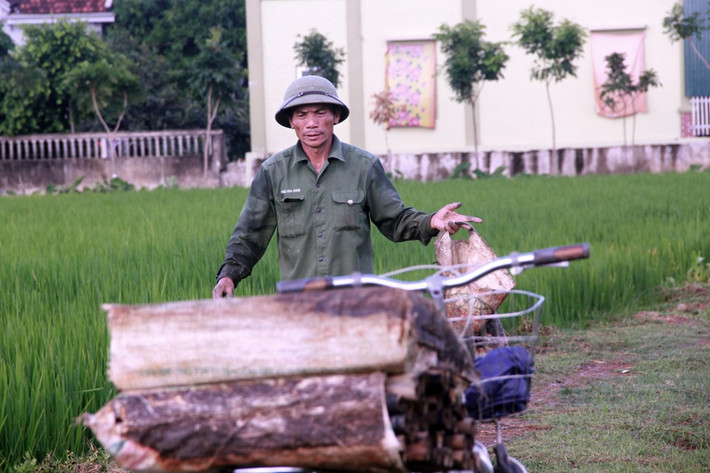Ông Hòa cho biết, thả trúm bẫy lươn là phương pháp thông dụng nhất. Thông thường, khoảng 17h chiều là người dân đi đặt dưới ruộng lúa. Ông trúm được ngâm dưới ruộng sau một đêm, đến rạng sáng hôm sau thì lấy lên, thu hoạch.
