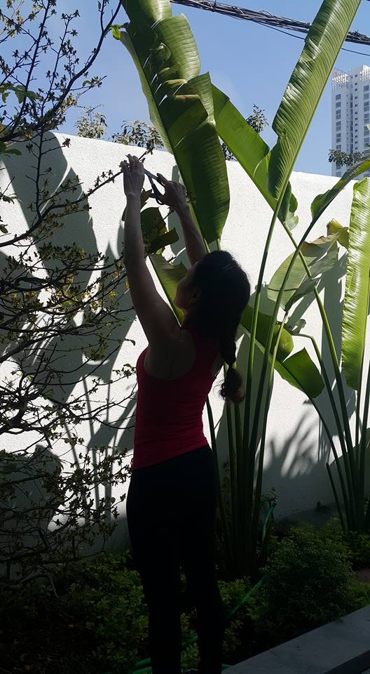 Bà chia sẻ: "Lại trở về chăm sóc những người bạn mà tôi yêu. Về hoa đã nở những chùm tím biếc, quýt đã ba mùa cho những chùm trái vàng rực, còn mai đã trút hết những cánh vàng mỏng manh để lại nhiều chùm trái. Phải cắt dọn thôi cho cây khỏe mạnh mùa sau."