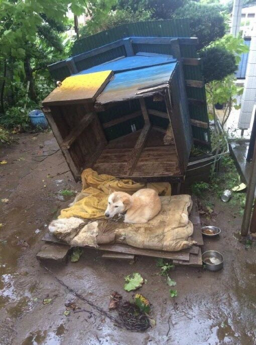 Còn lại gì sau cơn mưa?