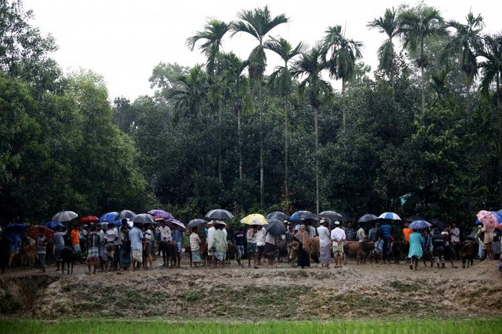 Những người tị nạn Rohingya đổ xô đến khu chợ gia súc dịp lễ Eid al-Adha tại khu trại tị nạn Kutupaloong ở Cox’s Bazar, Bangladesh, hôm 21/8.