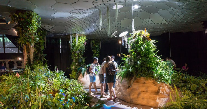Công viên Lowline, hiện đang được xây dựng ở thành phố New York, sẽ trở thành công viên dưới lòng đất đầu tiên trên thế giới. Chi phí ước tính của dự án này là 55 triệu USD và quá trình xây dựng có thể hoàn tất vào năm 2020.