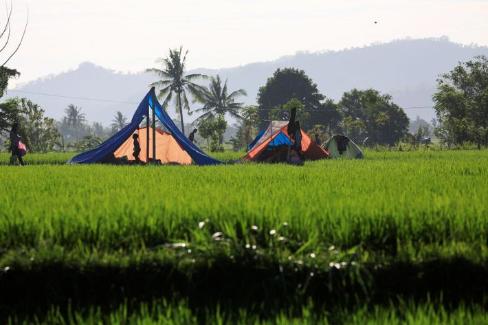 Người dân Indonesia dựng lều ở tạm tại Pemenang, Đảo Lombok, ngày 8/8. Ảnh: Reuters.