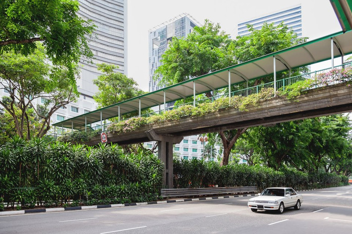 Khoảng 1,4 triệu cây xanh đã được trồng tại thành phố Singapore trong vòng 40 năm qua. Nơi đây còn được mệnh danh là “thành phố vườn”.