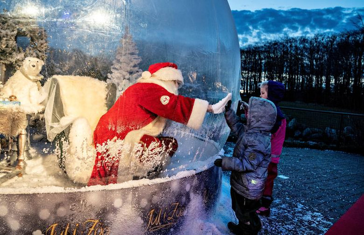 Một người hóa trang thành ông già Noel ngồi trong quả bóng khi giao lưu với các em nhỏ tại vườn thú Aalborg ở Aalborg, Đan Mạch, hôm 13/12.