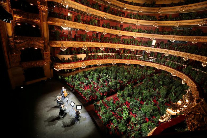 Buổi hòa nhạc trước 2.292 chậu cây xanh tại nhà hát opera Teatre del Liceu của Barcelona, Tây Ban Nha, hồi tháng 6/2020. Buổi hòa nhạc đặc biệt này đánh dấu hoạt động đầu tiên của nhà hát sau nhiều tháng đóng cửa vì COVID-19.