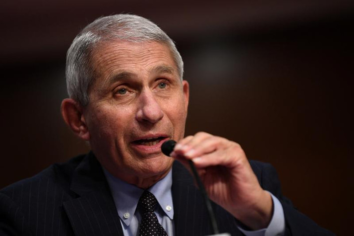 Tờ New York Times gọi Fauci là "chuyên gia hàng đầu của nước Mỹ về các bệnh truyền nhiễm". Ảnh: Reuters.