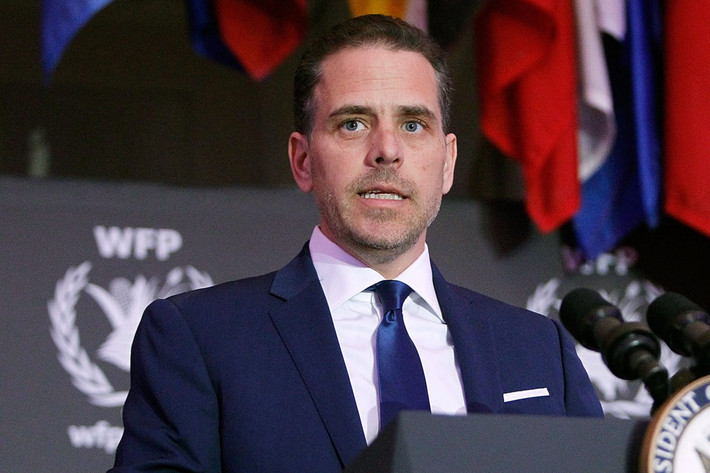 Sau khi tốt nghiệp trường luật, Hunter Biden đảm nhiệm một vị trí trong ngân hàng MBNA của Mỹ. Từ năm 1998-2001, ông làm việc trong Bộ Thương mại Mỹ, tập trung vào chính sách thương mại điện tử.