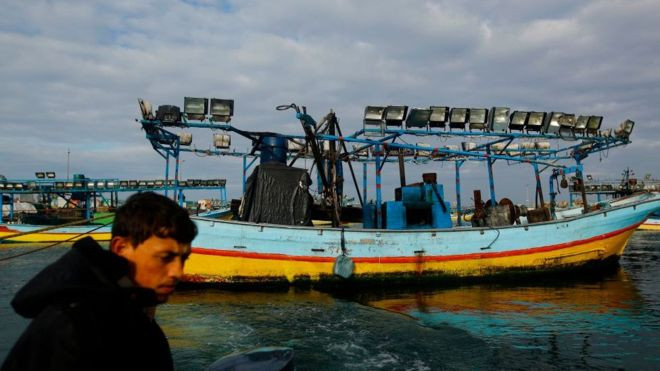 Liên Hợp Quốc cho biết, hơn 1 triệu người dân ở Gaza trong tình trạng "mất an ninh lương thực ở mức độ vừa và nghiêm trọng", mặc dù nhận được viện trợ lương thực. GDP ngành nông nghiệp của Gaza giảm từ 11% năm 1994 xuống dưới 5% vào năm 2018.