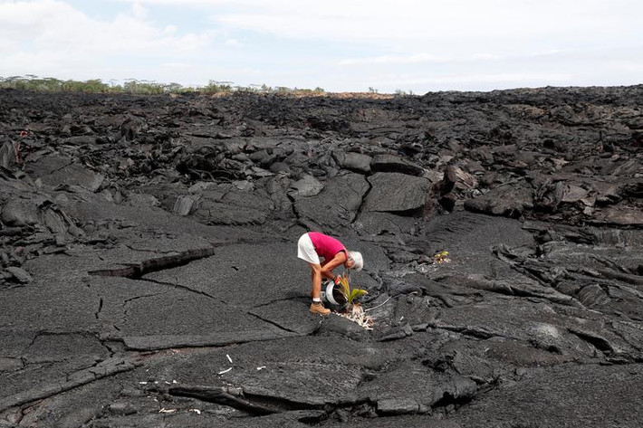 Đầu tháng 4/2019, nhiều cư dân ở Kapoho, bang Hawaii (Mỹ), đã trở lại quê nhà để bắt đầu cuộc sống mới gần một năm sau vụ phun trào của siêu núi lửa Kilauea suốt 4 ngày liên tiếp buộc hàng nghìn người phải sơ tán.